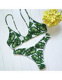 Trendy White+green Leaf Decorated Simple Design Pure Color Bikini